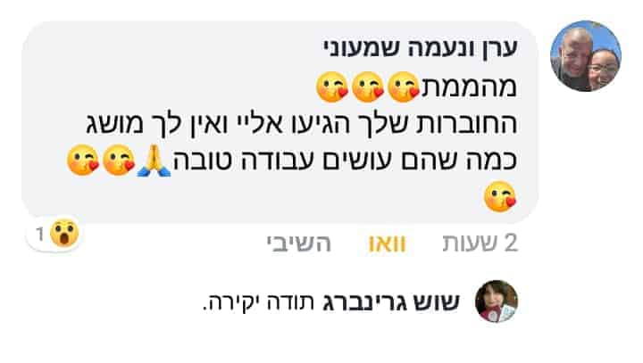 שוש גרינברג