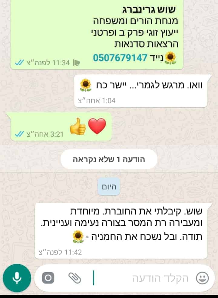 שוש גרינברג