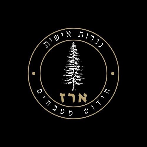 ארז נגרות אישית וחידוש מטבחים
